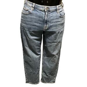 American Eagle '90s Straight Leg NWT Plus 20 Clean Girl Light Wash Denim